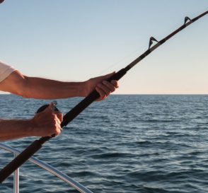 How to Choose a Bait Casting Rod